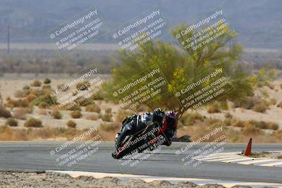 media/Apr-10-2022-SoCal Trackdays (Sun) [[f104b12566]]/Turn 5 Tree of Life (1040am)/